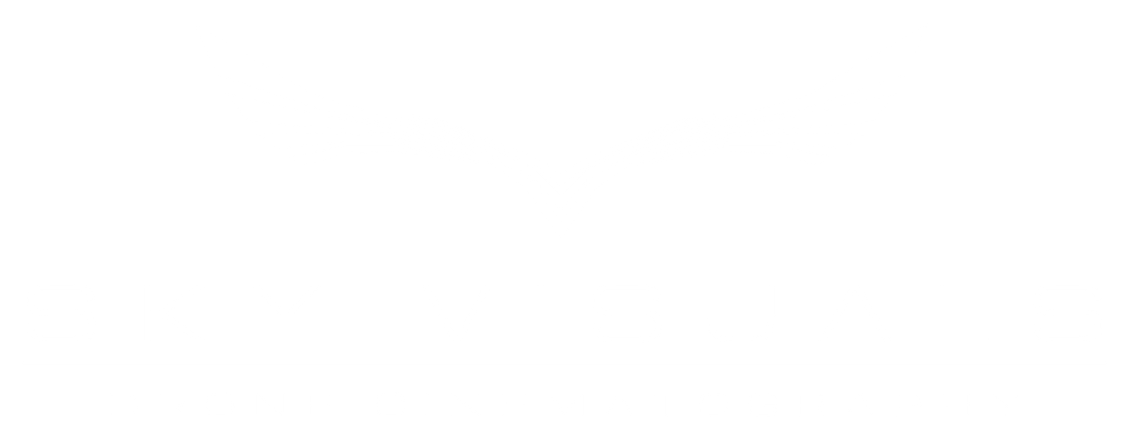 SkyVisuals — Drone Cinematography